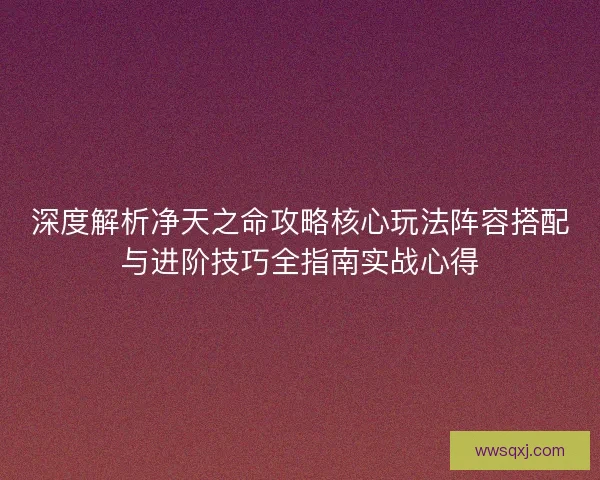 深度解析净天之命攻略核心玩法阵容搭配与进阶技巧全指南实战心得
